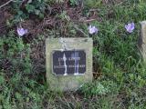 image of grave number 922800